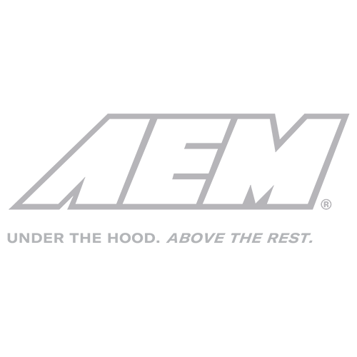 AEM Intakes