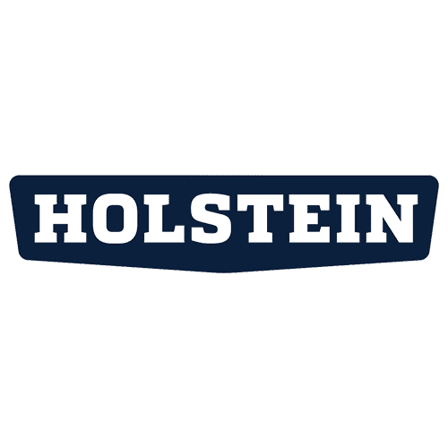 Holstein