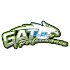 Gato Performance